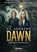 Watch V.C. Andrews' Dawn Movie2k