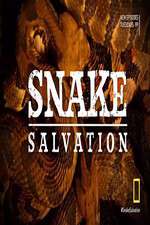 Watch Snake Salvation Movie2k