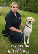 Watch Puppy School for Guide Dogs Movie2k