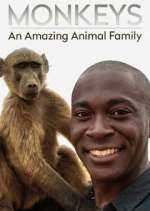 Watch Monkeys: An Amazing Animal Family Movie2k