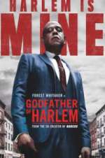 Watch Godfather of Harlem Movie2k