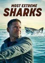 Watch Most Extreme Sharks Movie2k