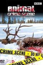 Watch Animal Crime Scene Movie2k