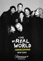 Watch The Real World Homecoming Movie2k