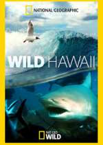 Watch Wild Hawaii Movie2k