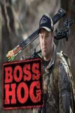 Watch Boss Hog Movie2k