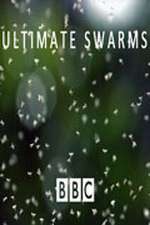 Watch Ultimate Swarms Movie2k