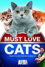 Watch Must Love Cats Movie2k