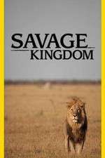 Watch Savage Kingdom Movie2k