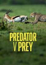 Watch Predator v Prey Movie2k