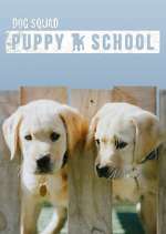 Watch Dog Squad: Puppy School Movie2k