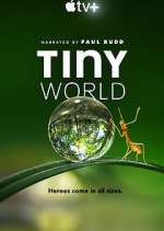 Watch Tiny World Movie2k