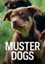 Watch Muster Dogs Movie2k