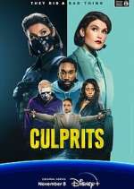 Watch Culprits Movie2k