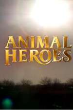 Watch Animal Heroes Movie2k