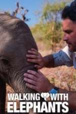 Watch Walking with Elephants Movie2k