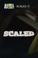 Watch Scaled Movie2k