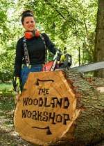Watch The Woodland Workshop Movie2k