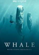 Watch Whale with Steve Backshall Movie2k