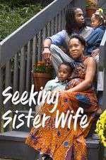 seeking sister wife tv poster