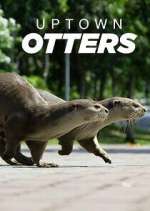 Watch Uptown Otters Movie2k