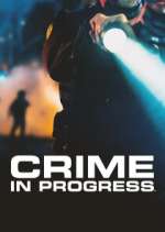 Crime in Progress movie2k