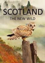 Watch Scotland - The New Wild Movie2k