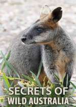 Watch Secrets of Wild Australia Movie2k