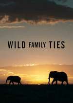 Watch Wild Family Ties Movie2k