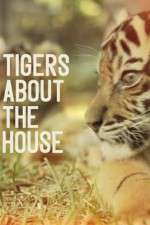 Watch Tigers About the House Movie2k