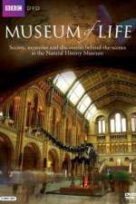 Watch BBC Museum of Life Movie2k