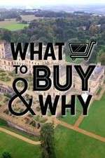 Watch What to Buy & Why Movie2k