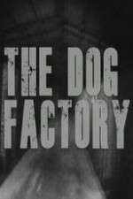 Watch The Dog Factory Movie2k