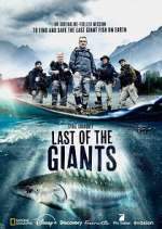 Watch Last of the Giants: Wild Fish Movie2k