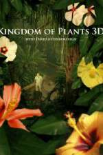 Watch Kingdom of Plants 3D Movie2k