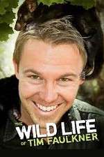 Watch The Wild Life of Tim Faulkner Movie2k