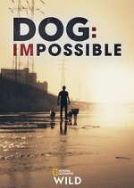 Watch Dog: Impossible Movie2k