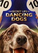 Watch The Secret Life of Dancing Dogs Movie2k