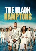 Watch Carl Weber's The Black Hamptons Movie2k