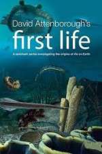 Watch David Attenborough's First Life Movie2k