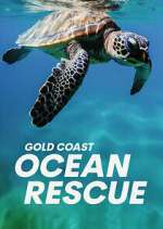 Watch Gold Coast Ocean Rescue Movie2k