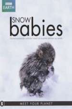 Watch Snow Babies Movie2k