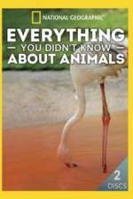 Watch Everything You Didnt Know About Animals Movie2k