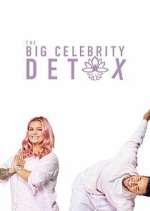 Watch The Big Celebrity Detox Movie2k