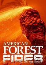 Watch American Forest Fires: The Untold Story Movie2k