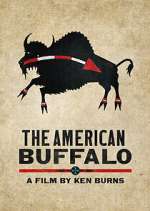 Watch The American Buffalo Movie2k