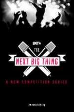 Watch The Next Big Thing Movie2k