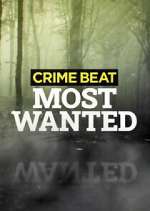 Watch Crime Beat: Most Wanted Movie2k