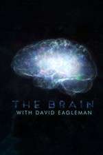 Watch The Brain with Dr David Eagleman Movie2k